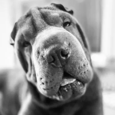 Kristen B, Instructor at Dancing Hammock